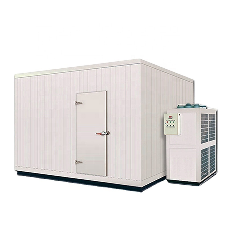 Chiller freezer machine storage room for fish chicken beef