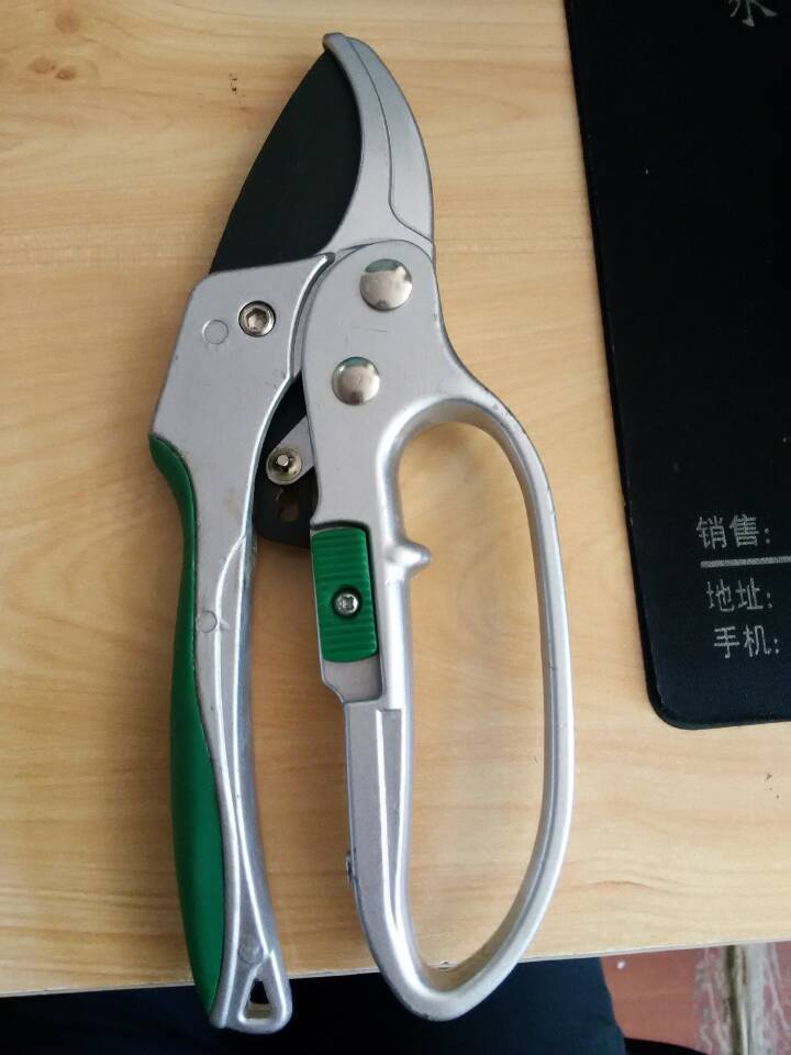 Hot Sale Manufacturer Segmented Garden Scissors Labor-Saving Stainless Steel Pruning Shears Preferred Tools Fruit Branch Cutter