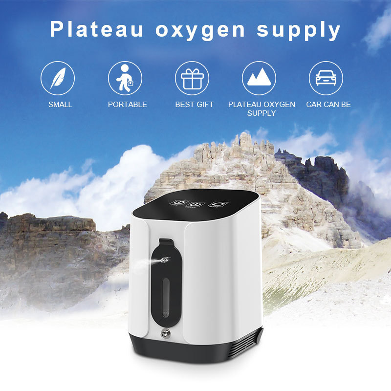 Hot Sale Professional Lower Price Liter Oxygen Concentrator Machine For Home Oxygen Concentrator Oxygen