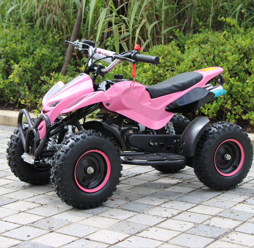 China Golden Supplier Quad ATV 2 Stroke 49cc Disc Brake Eco-Friendly Kids 4x4 ATVs UTVs