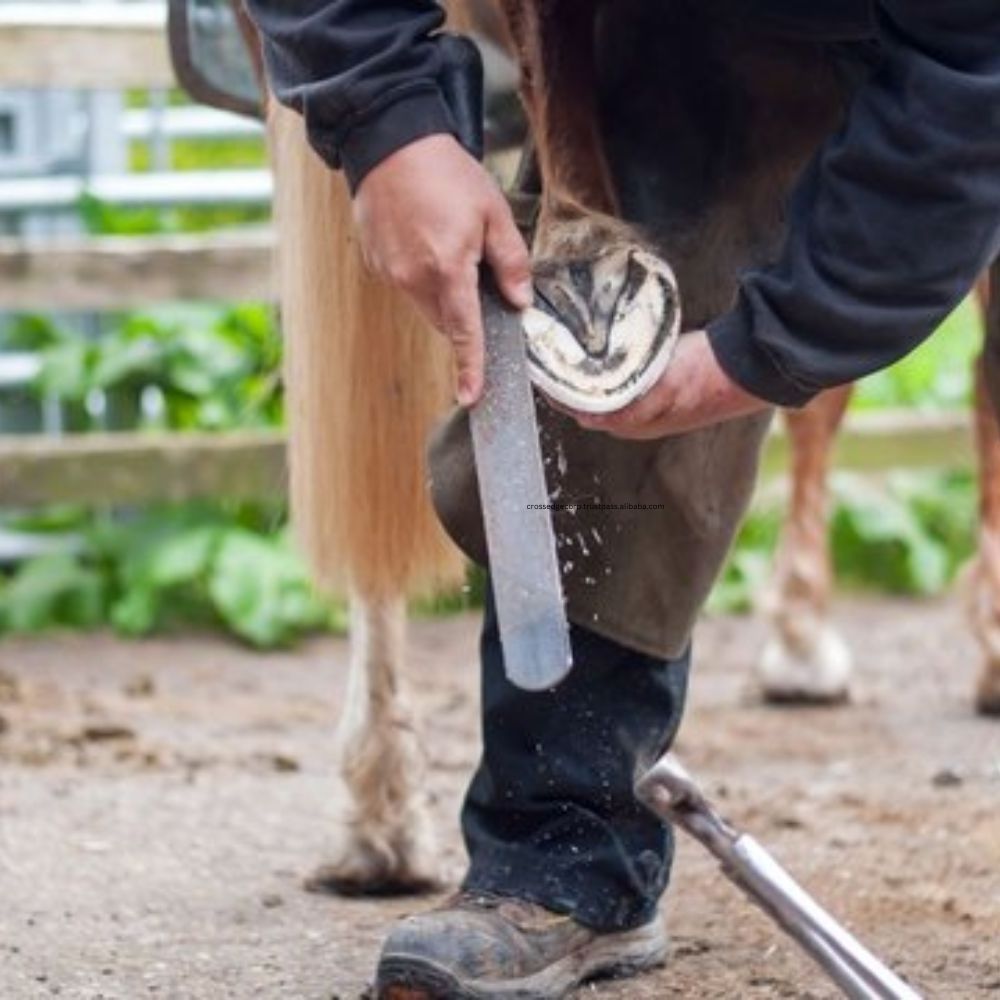 Wholesale Horse Hoof Rasp Knife High Carbon Stainless Steel Trimming File Knife 350mm Double Sided Farrier Tool with Handle