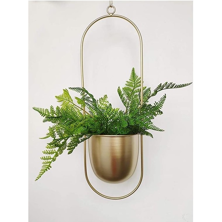 Brass Finished Iron Metal Plant Hanger Metal Wall & Ceiling Hanging Planter Modern Planter & Flower Pot At Best Market Price