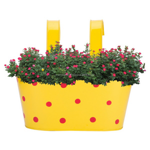 printed yellow and red designs  garden wall planters  in iron metal farmhouse rustic finished galvanized metal pot