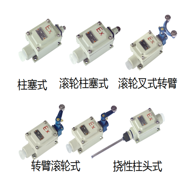 Lx5 Hot selling 220v corrosion-proof Explosion Proof limit switch