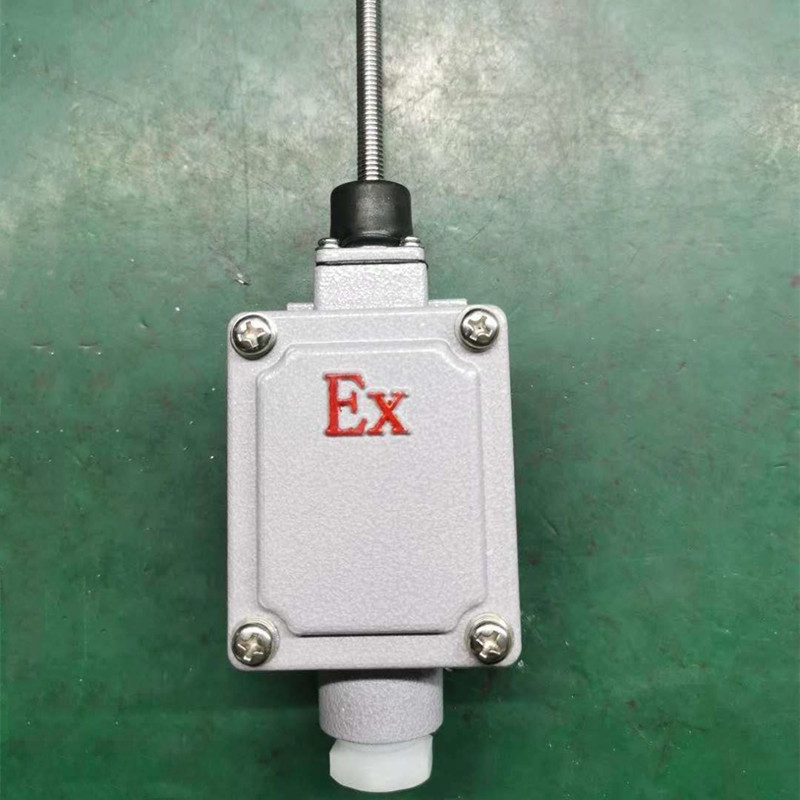 Lx5 Hot selling 220v corrosion-proof Explosion Proof limit switch