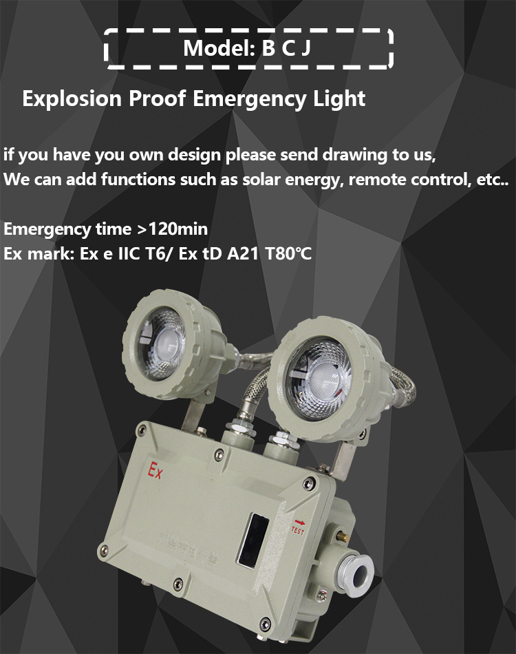 GYD Atex 2*3w Led Explosion Proof Emergency Led Light,, Atex Explosion Proof Light Ip65 Price Led Exit Led Emergency Lights