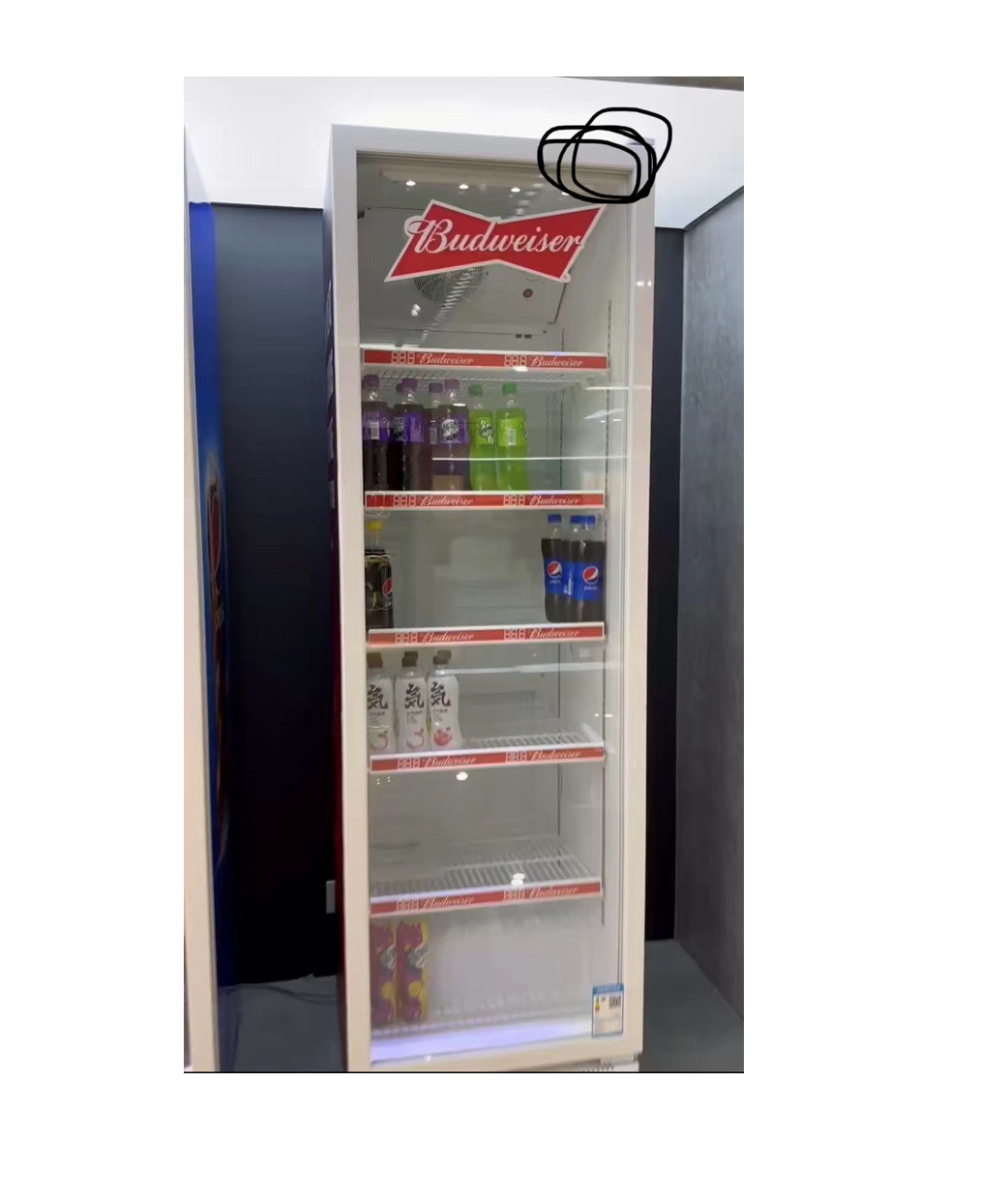 Low Price  Refrigerator  Display Cola Beverage Fridge