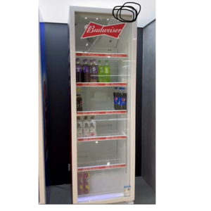 Low Price  Refrigerator  Display Cola Beverage Fridge