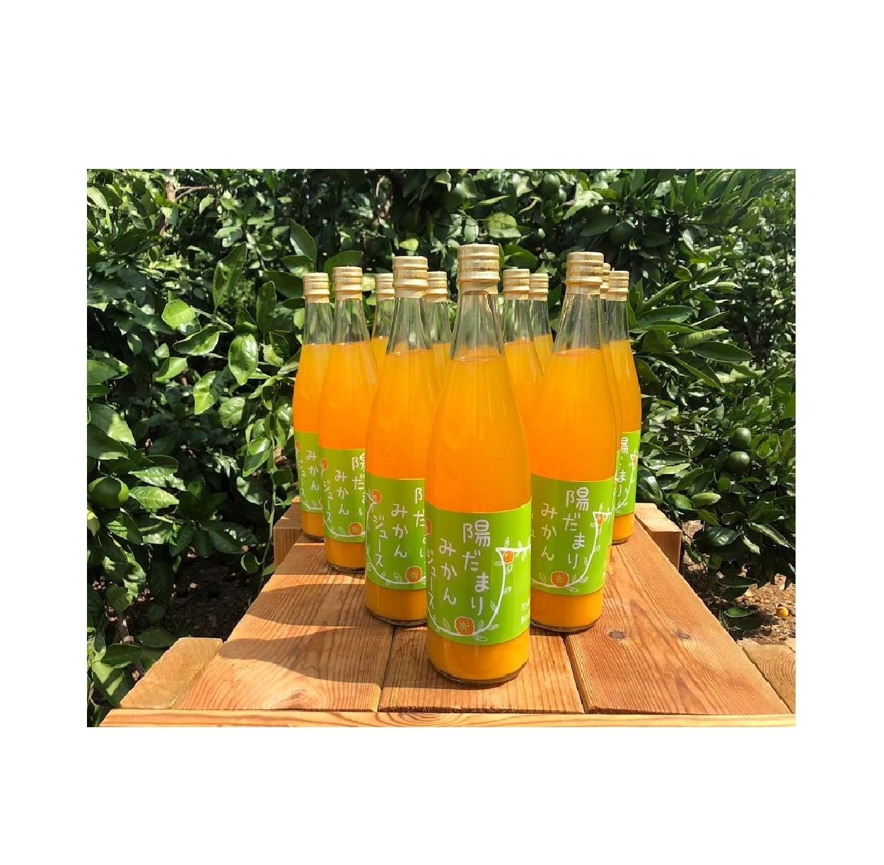 Good Hot Selling Richness Sweet Mandrin Orange Fruit Drink Juice