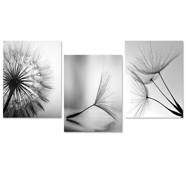 Home Decor Modern Print  Plant Picture Black and White Dandelion  painting  wall art canvas printing poster