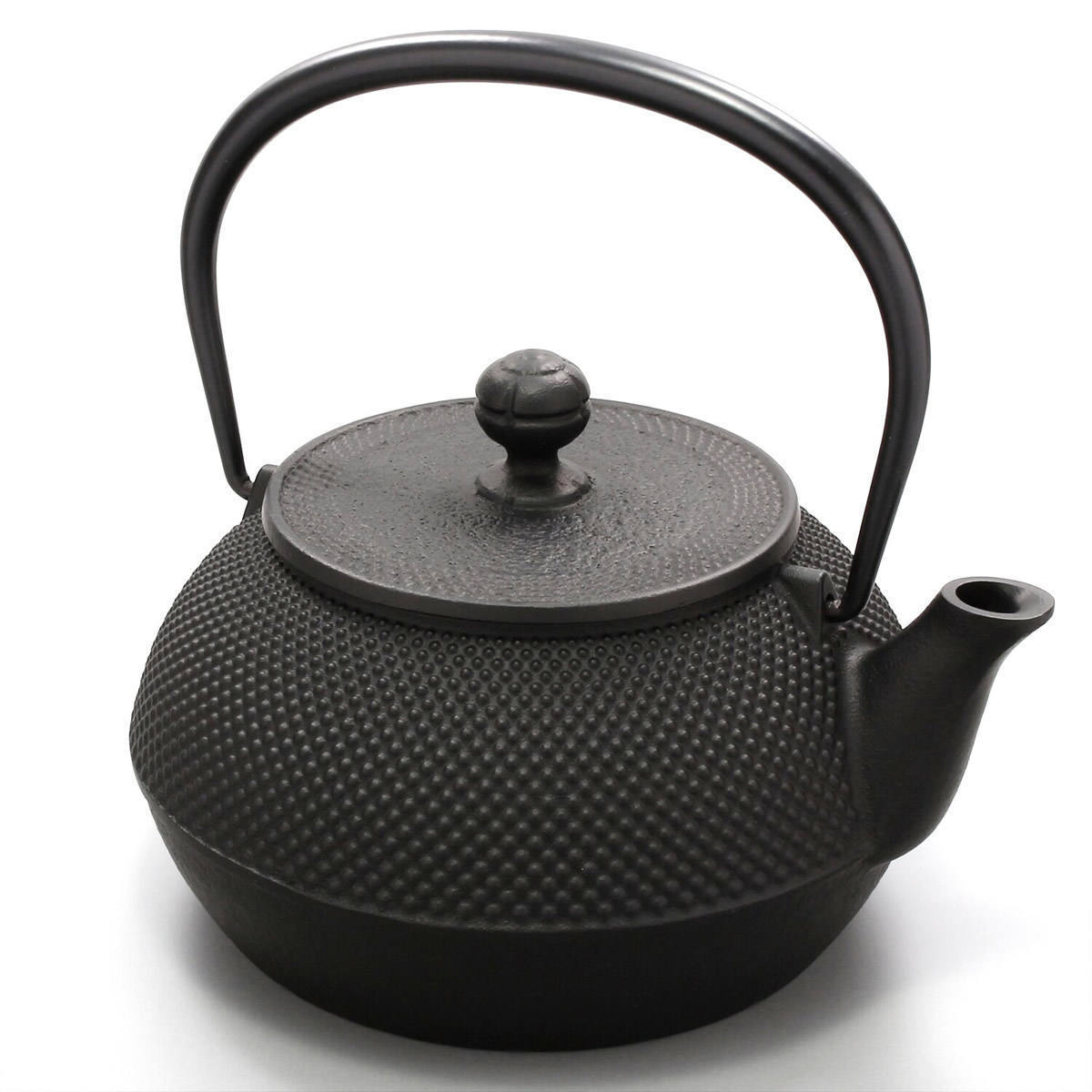 Daily Life Use Boil Replenish Nambu Ironware Nanbu Iron Kyusu Japanese Tea Water Kettle