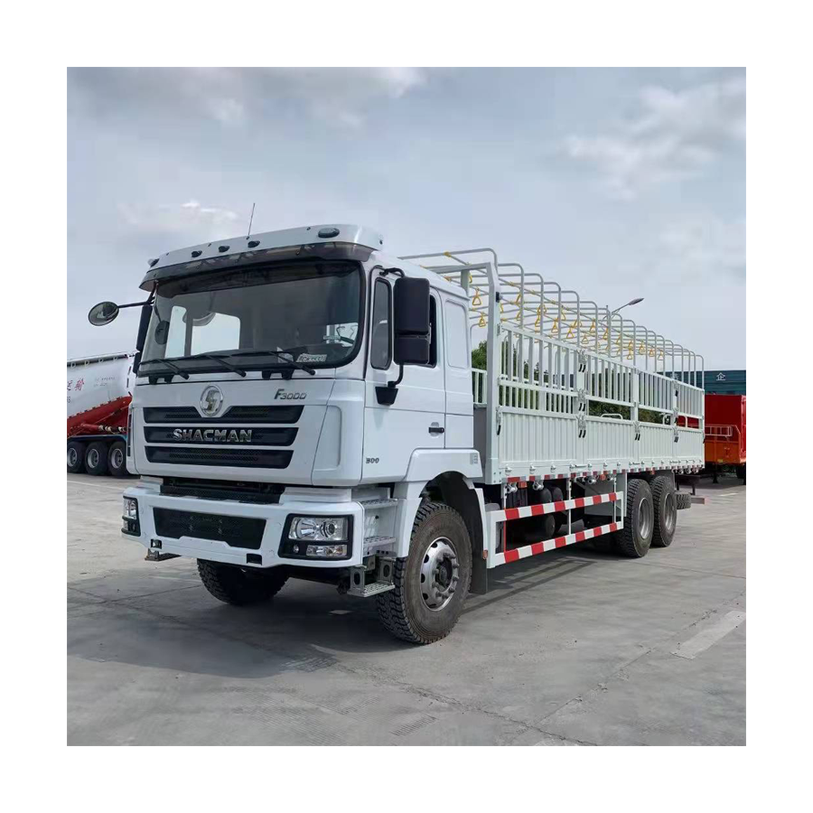 2022 HOT Sale Lorry Truck 6x4 8x4 Cargo Truck With Spare Parts Fast Delivery