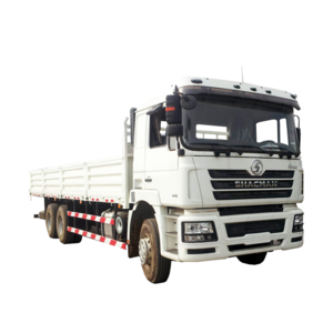 SHACMAN Lorry Truck F3000 6*4/8*4 Cargo Truck Van Truck For Composite Transport