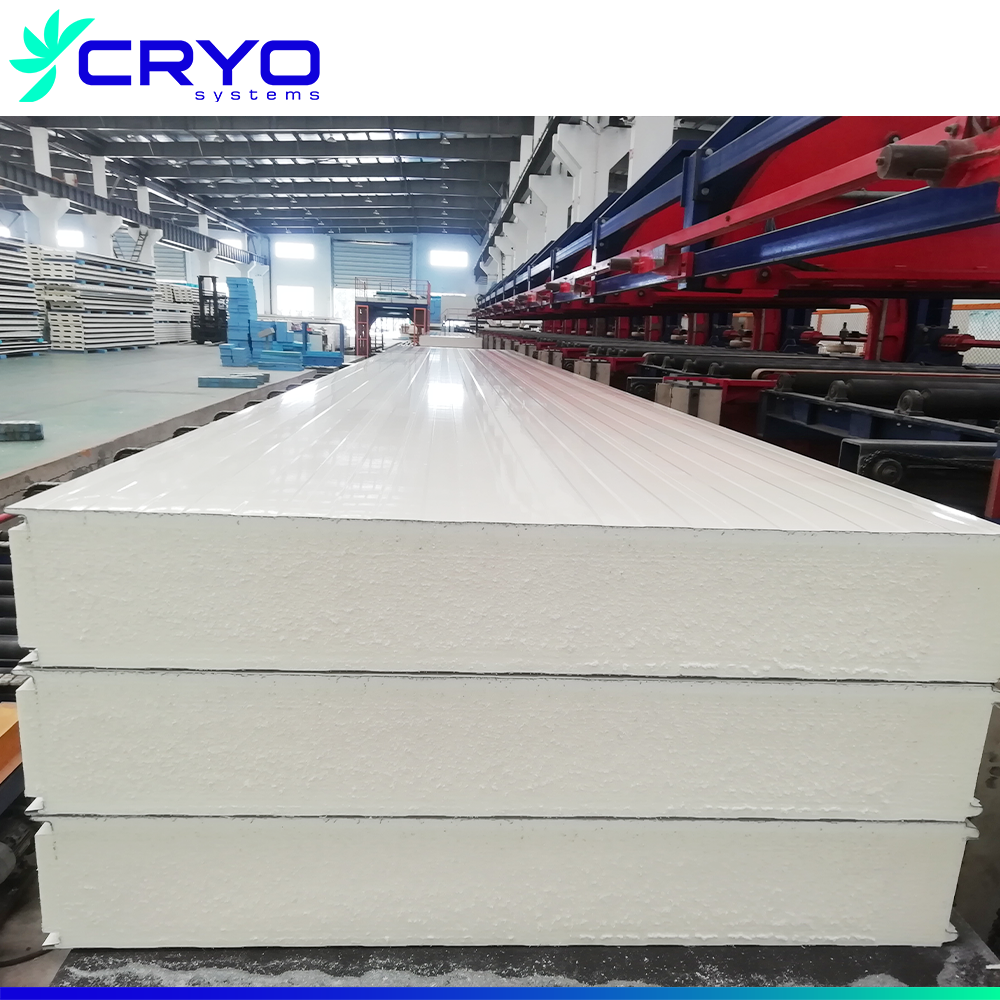 buildings outside insulated wall panels sandwich panel cold room panels