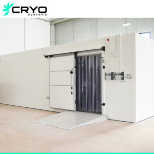 walk in freezer cold room warehouse modular prefabricated food milk onion potato fruit and vegetables cold storage