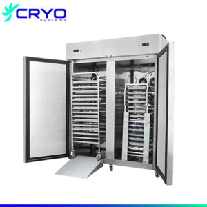 freezing chicken blast freezer air modular blast chiller