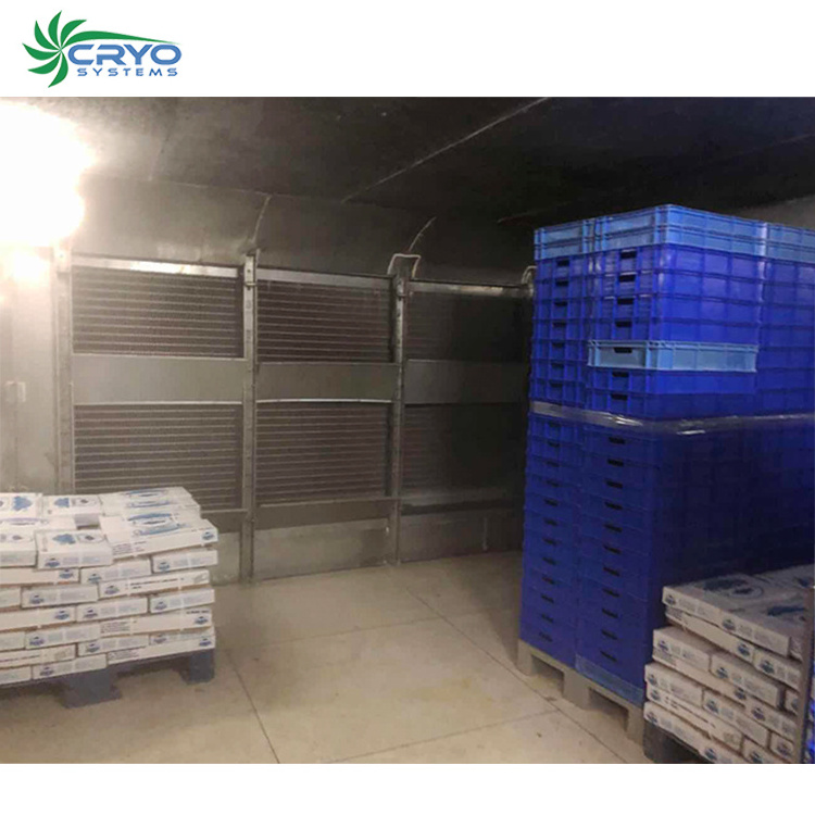 chiller room modular blast freezers frozen cold rooms for sale