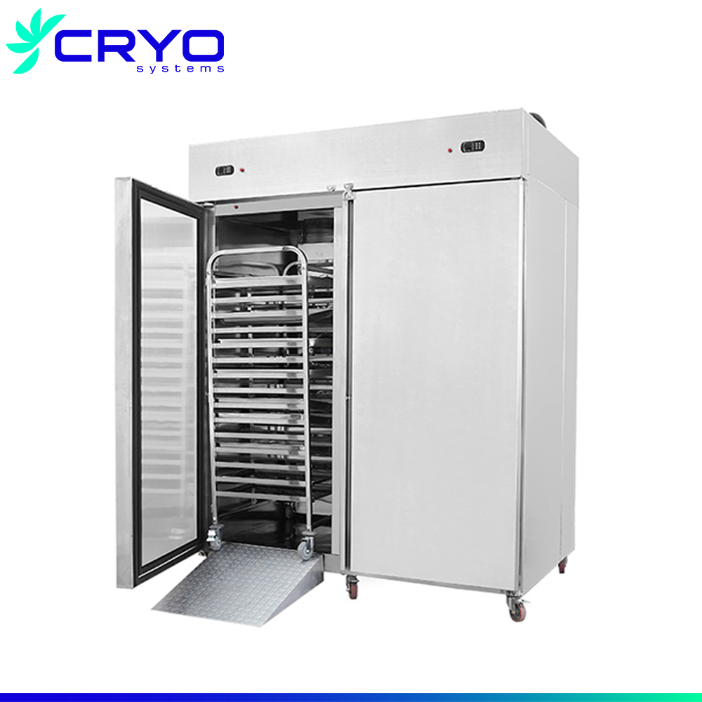 freezing chicken blast freezer air modular blast chiller