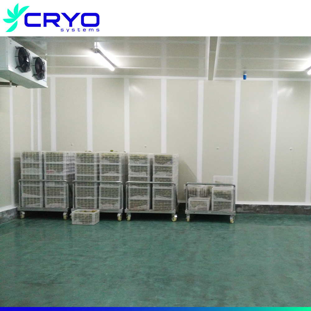 cooling system cold storage for onion walk in cooler refrigeration