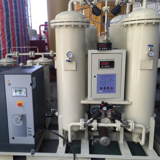 New Arrival Oxygen Making Machine 5L Oxygen On Demand PSA Oxygen Generator Price for Aquaculture