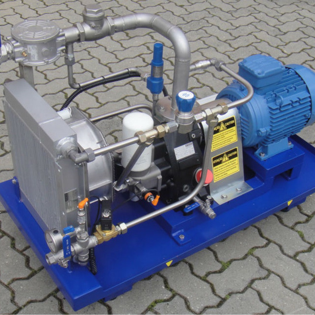 On-Site Cng Home Compressor 20 Gallon 20 hp Carbon Dioxide 300 Bar Compressor Pcp for Screw Air Compressor