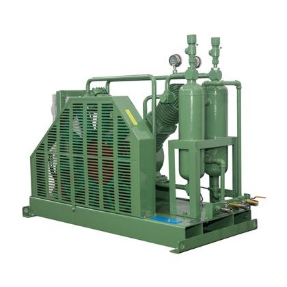 High Efficiency Cng Compressor Home 4 hp 12V/24V High Pressure C2H3Cl Medical Air Compressor for Pressure Resistance Testing