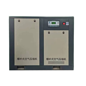 Hot Sale Cng Compressor Home 15A 12V To 24V 15Bar C2H3Cl Mining Compressor with Filter