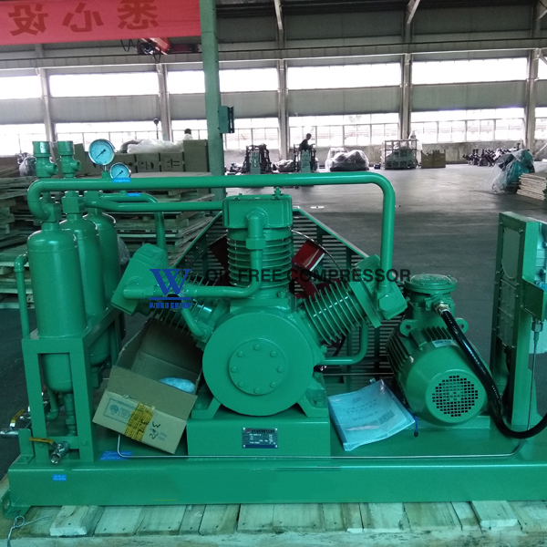 On-Site Cng Home Compressor 20 Gallon 20 hp Carbon Dioxide 300 Bar Compressor Pcp for Screw Air Compressor