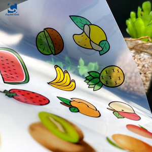 Waterproof A4 PVC vinyl self adhesive inkjet transparent pet film sticker