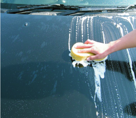 Coating Shampoo with water-repelling hydrophobic Car paint care Super hydrophobic OEM available Car detailing Car wash & coating