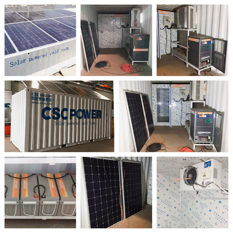 Hot Sale Customized Size 20ft solar power container freezer chiller cold storage room price