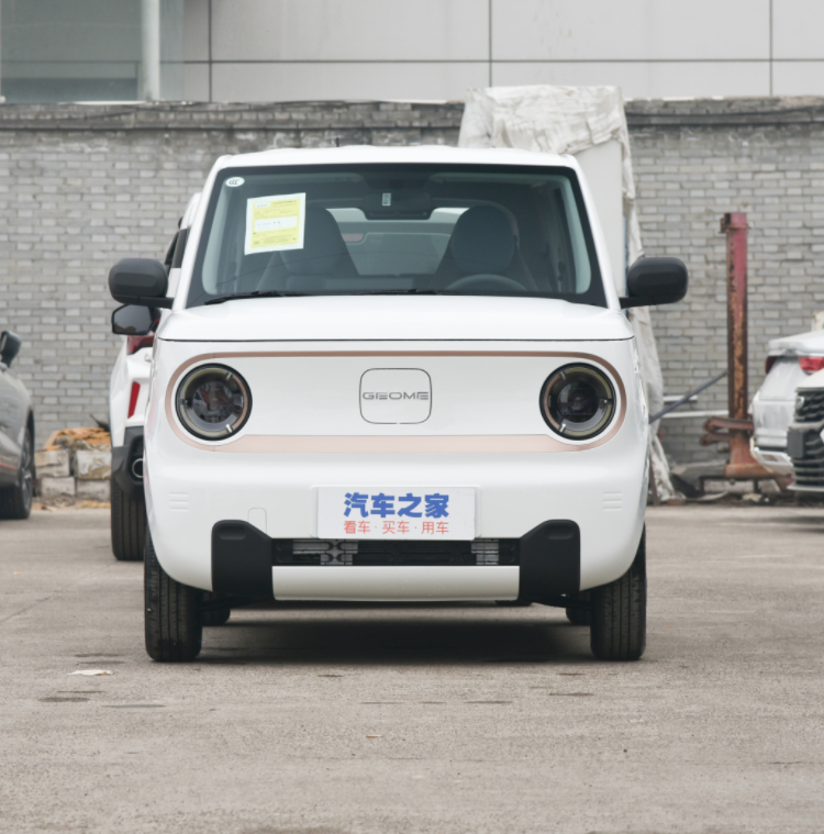 Chinese 2023 New Energy Vehicle Minicar Geely Panda Mini Electric Car for sale