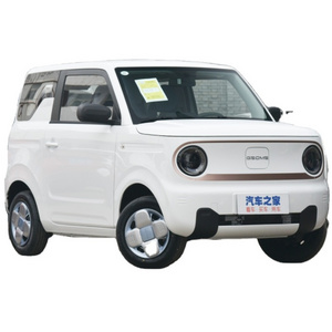 Chinese 2023 New Energy Vehicle Minicar Geely Panda Mini Electric Car for sale