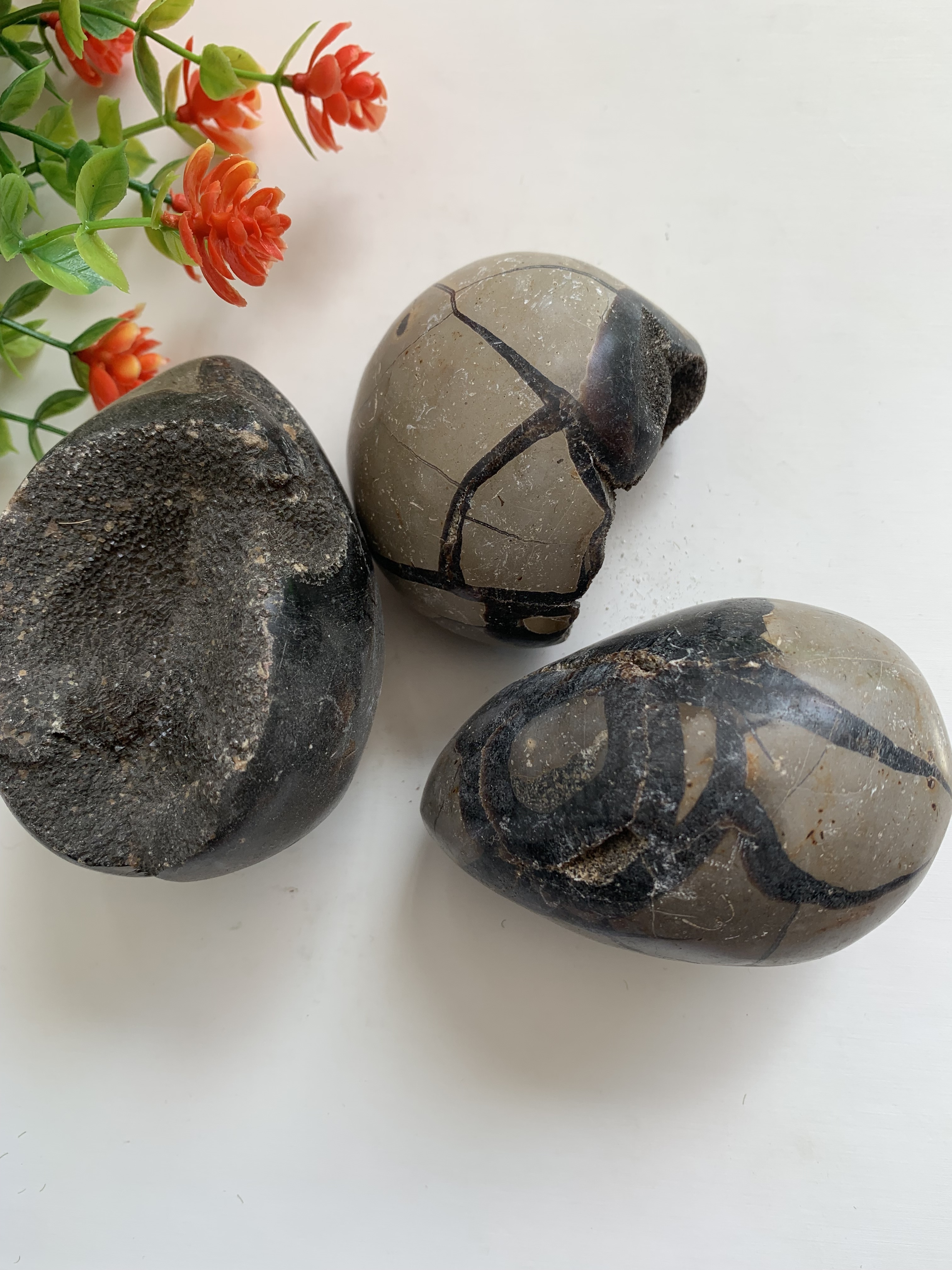 Hot sale Natural crystals healing stones Turtle shell stone palm stone healing crystal for decoration and gifts