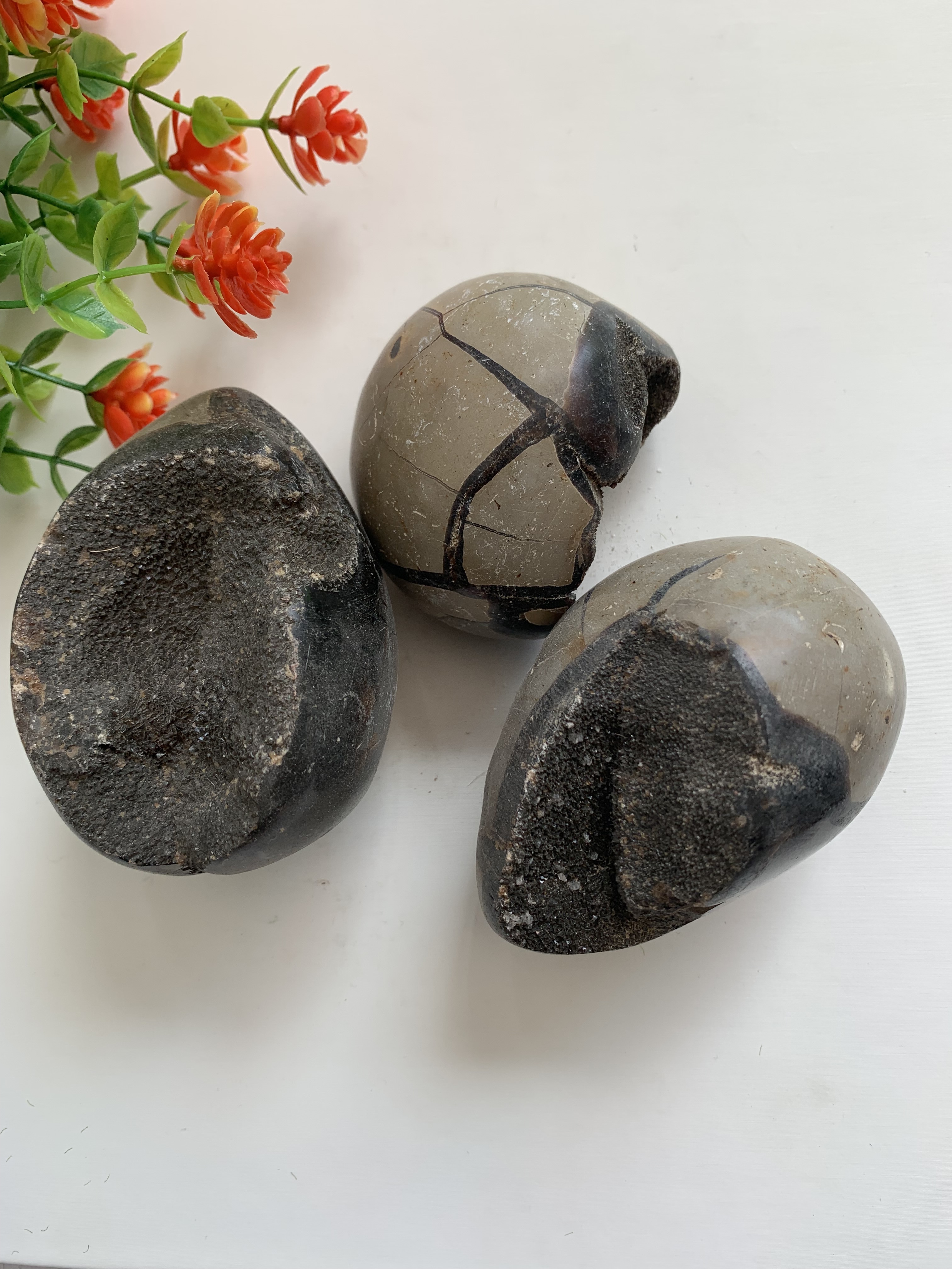 Hot sale Natural crystals healing stones Turtle shell stone palm stone healing crystal for decoration and gifts