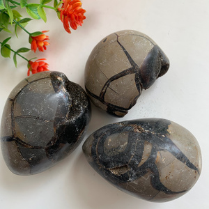 Hot sale Natural crystals healing stones Turtle shell stone palm stone healing crystal for decoration and gifts