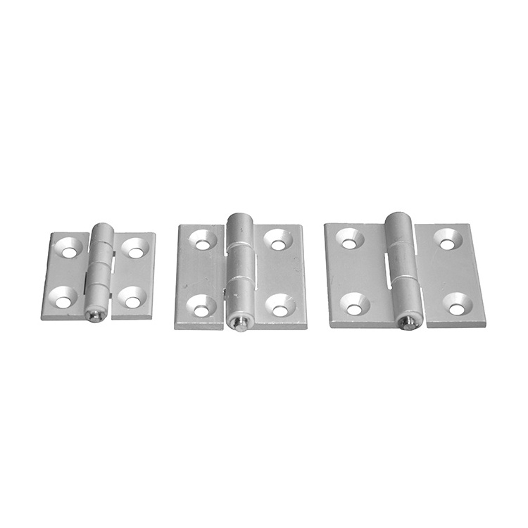 Door 180 Degree Interior Glass Swing Concealed Hinge