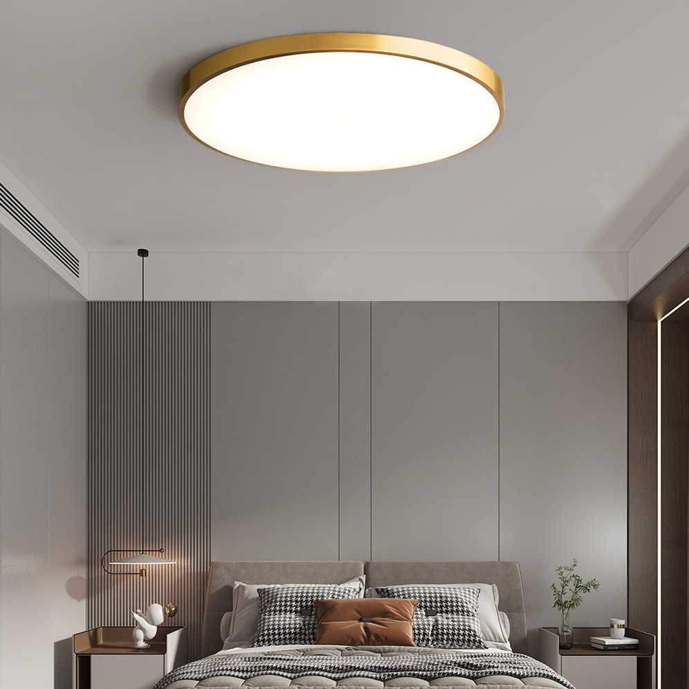 Minimalist Modern Ultra-thin Surface Mounted Living Room Bedroom Remote Home Decor 18W Lighting LED Gold Ceiling Lamp Chandelier