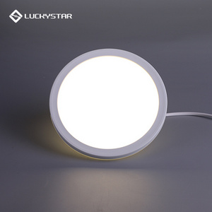 LUCKYSTAR High bright hot sale low price round  diameter Plastic white AC220-240V 12w 2835 ip20 moden led flat Ceiling light