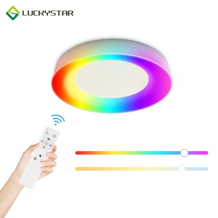 LED Flush Mount Ceiling Light Fixture 12 inch 16 inch  RGB CCT Adjustable 25W 3500LM Surface Mounted Home Lighting Ceiling Lamps