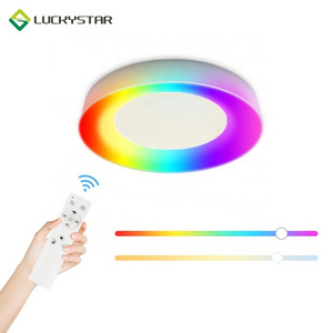 LED Flush Mount Ceiling Light Fixture 12 inch 16 inch  RGB CCT Adjustable 25W 3500LM Surface Mounted Home Lighting Ceiling Lamps