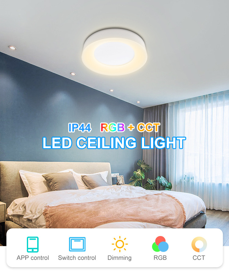 LED Flush Mount Ceiling Light Fixture 12 inch 16 inch  RGB CCT Adjustable 25W 3500LM Surface Mounted Home Lighting Ceiling Lamps