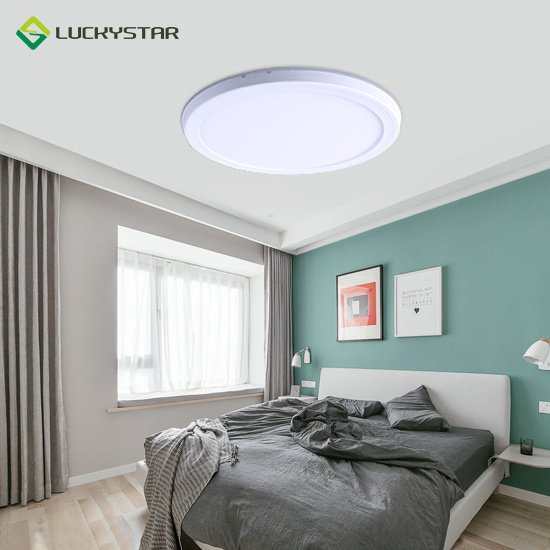 LUCKYSTAR High bright hot sale low price round  diameter Plastic white AC220-240V 12w 2835 ip20 moden led flat Ceiling light