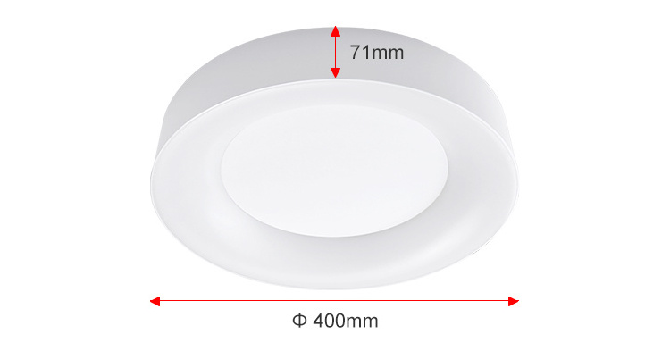 LED Ceiling Light Fixture Flush Mount CCT adjustable Smart Home Light Waterproof IP44 Smart Ceiling Lights