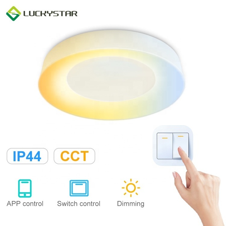 LED Ceiling Light Fixture Flush Mount CCT adjustable Smart Home Light Waterproof IP44 Smart Ceiling Lights