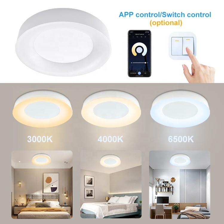 LED Ceiling Light Fixture Flush Mount CCT adjustable Smart Home Light Waterproof IP44 Smart Ceiling Lights