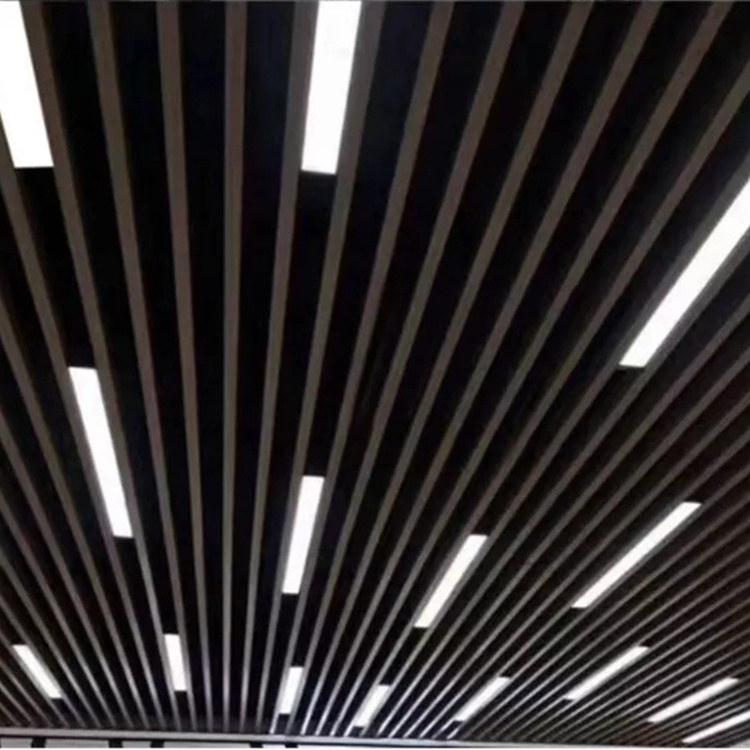 Custom Extrusion Profiles Plastic Ceiling Polycarbonate Lighting Cover Embossed Lamp Cove