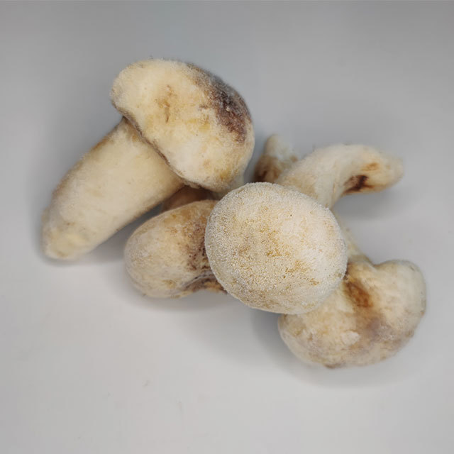 Wholesale price  fresh and quick frozen matsutake whole mushroom  size above 9cm