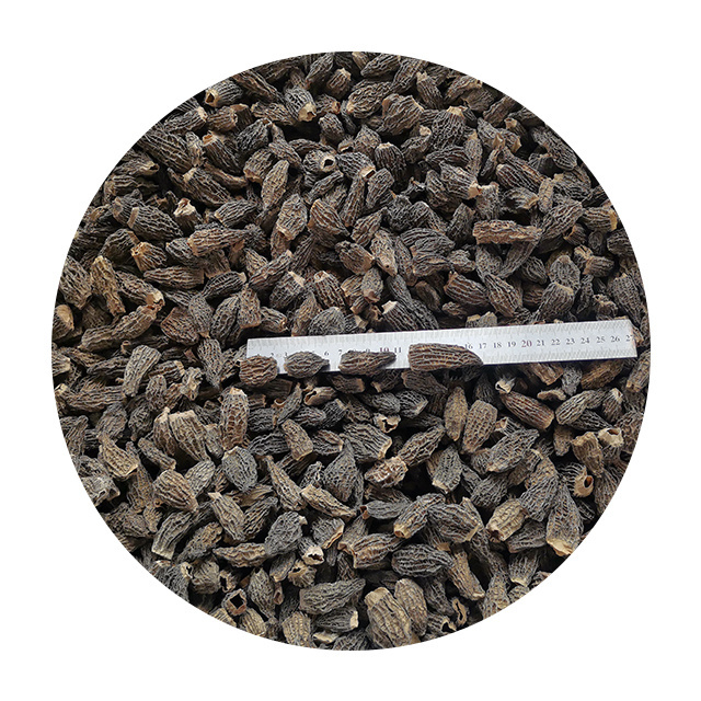 Without Stem Dried Morel Mushroom from China Cultivated 2-5cm Black MUSHROOMS Raw Dried Oyster Mushroom Wholesale Price 10 Kg