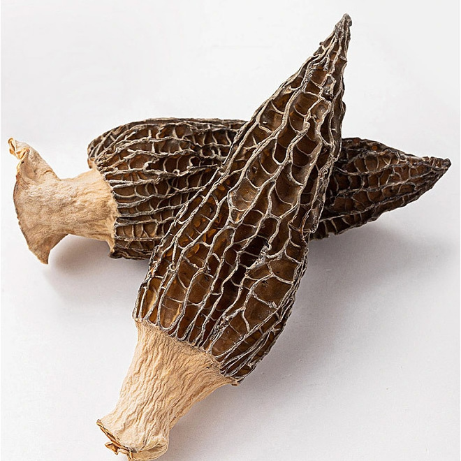 Yunnan Food Organic Bulk Healthy AD Brown Morels Dry High Quality Health Morchella Dried Wild Morel Mus Dried Mushroom 1 Kg